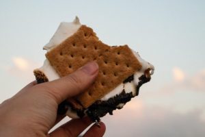 A hand holding a s'more in the air.